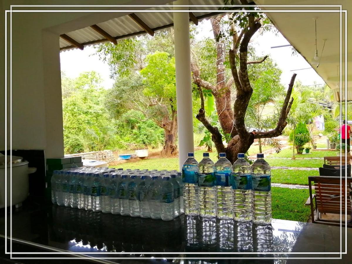 Sigiriya Green Garden Homestay Buitenkant foto