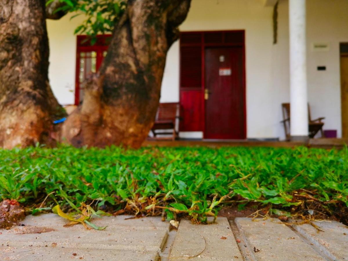 Sigiriya Green Garden Homestay Buitenkant foto
