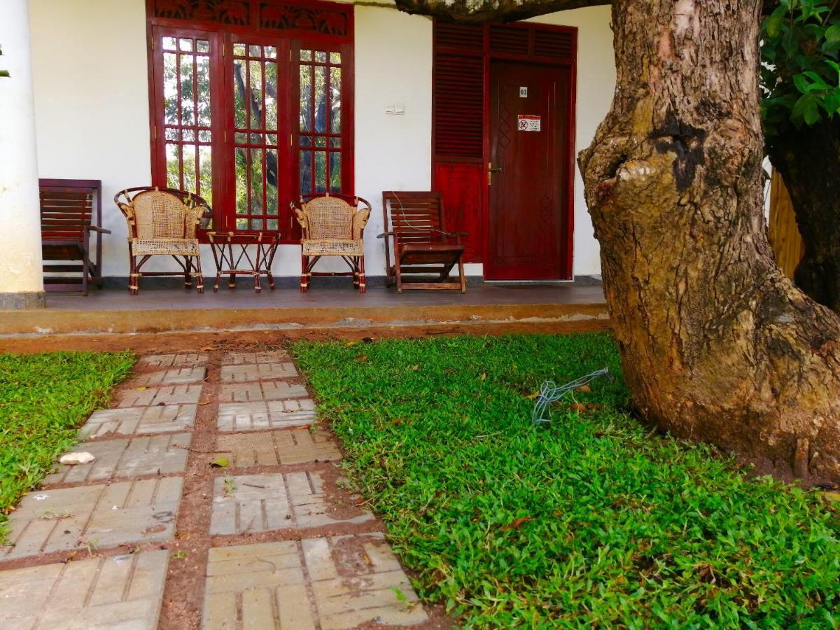 Sigiriya Green Garden Homestay Buitenkant foto