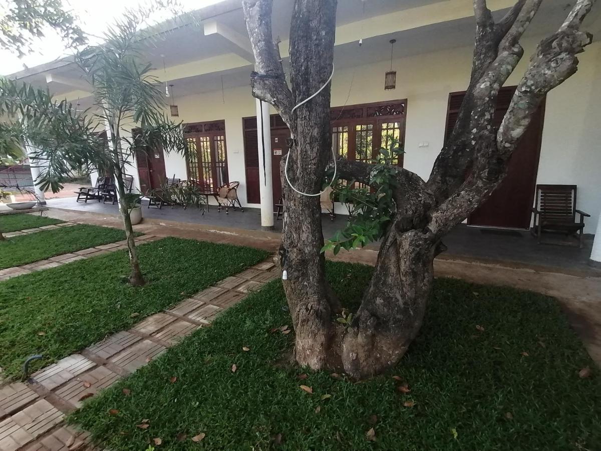 Sigiriya Green Garden Homestay Buitenkant foto